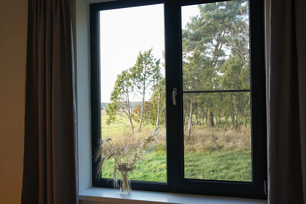 A window looking out onto the pine forest